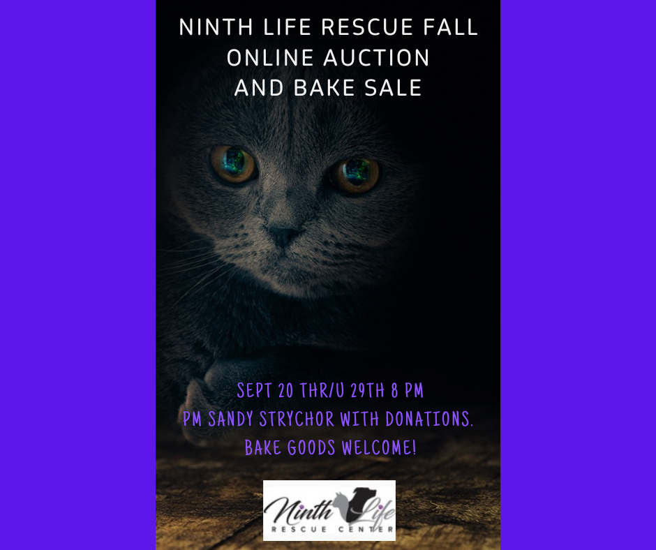 Ninth life hot sale cat rescue